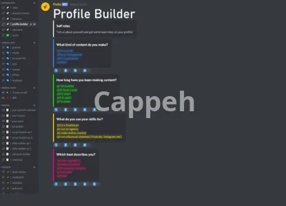 I will setup your new or existing discord server for huge success