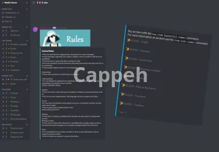 I will setup your new or existing discord server for huge success