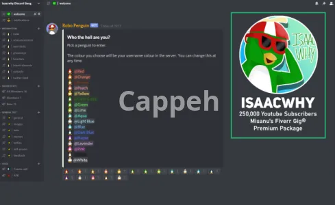 I will setup your new or existing discord server for huge success