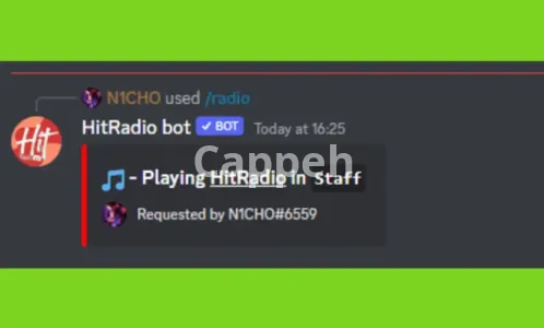 I will create a lofi or custom radio or podcast discord bot for you