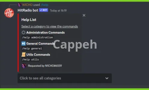 I will create a lofi or custom radio or podcast discord bot for you
