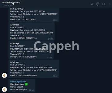 I will develop professional, custom telegram bots tailored to your business need