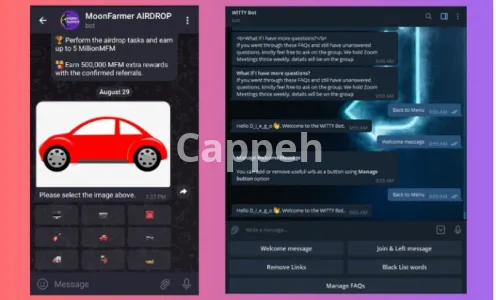 I will make a custom telegram bot to do whatever you want