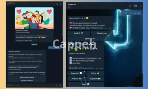 I will make a custom telegram bot to do whatever you want