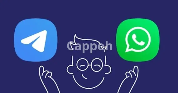 I will develop unique telegram bot and whatsapp bot for you