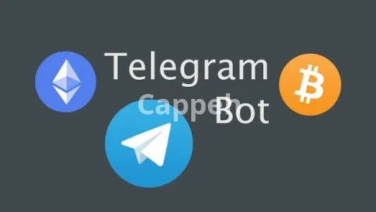 I will develop a custom telegram bot on java with spring framework