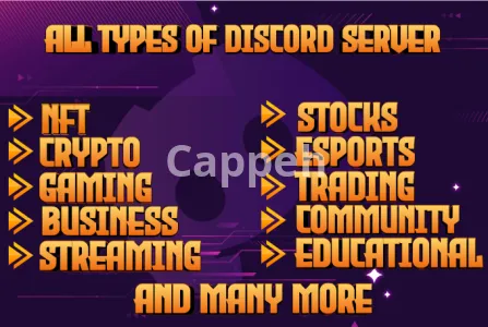 I will setup new and existing discord servers within 24 hours