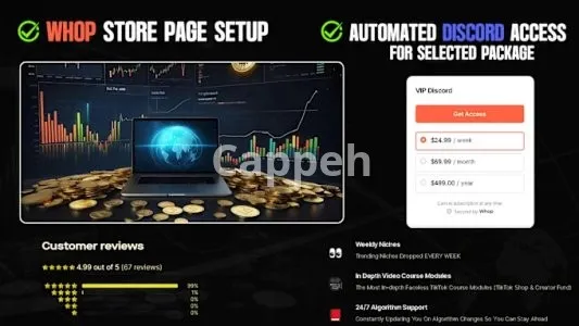 I will create custom discord server with whop store integration