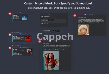 I will create custom discord bot, python