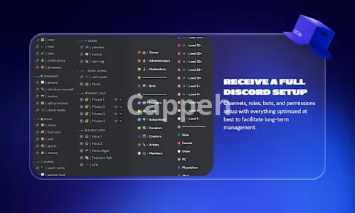 I will setup your custom discord server