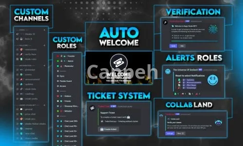 I will setup a professional nft discord server