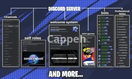 I will setup the best gaming discord server