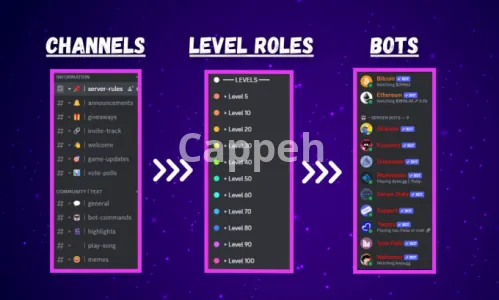 I will set up community discord server within 24 hours