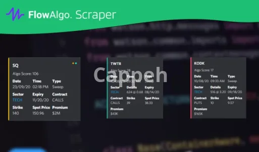 I will create custom discord bots and automation solutions
