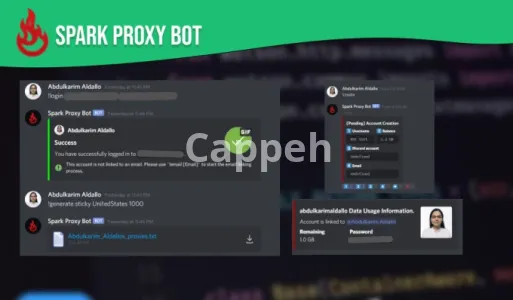 I will create custom discord bots and automation solutions