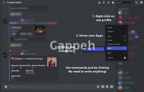 I will create custom discord bots with openai API, crypto, etc