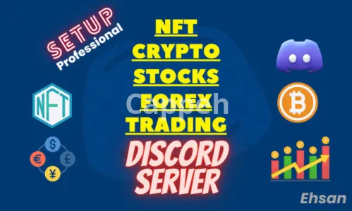 I will setup nft, crypto, forex, stocks discord server