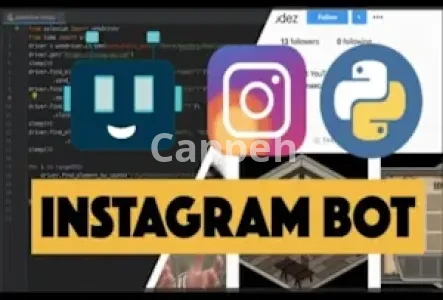 I will create a custom instagram bot in 12hrs
