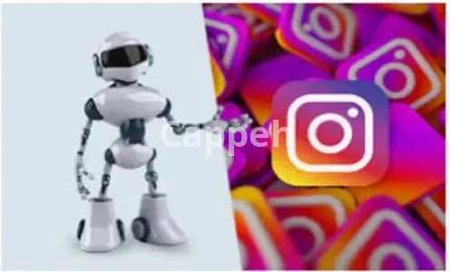 I will develop facebook instagram linkedin bot and meta google