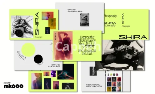 I will create your high end brand identity