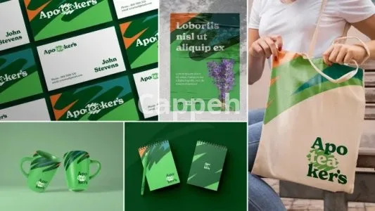 I will design a professional brand book for your business