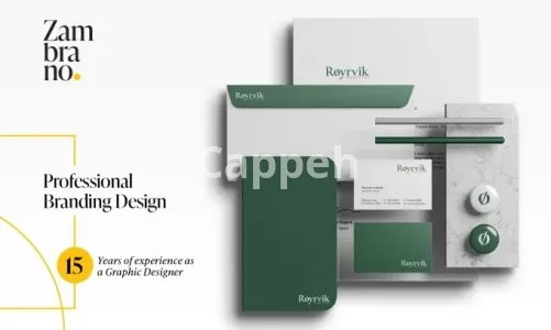 I will design a professional brand book for your business