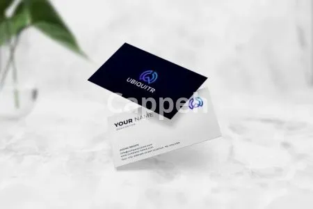 I will design trendy minimalist logo with business brand identity