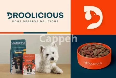 I will do company logo design, branding kit and business brand identity