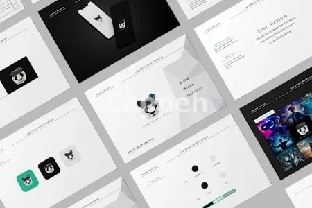 I will do corporate identity, brand style guides with branding and logo design