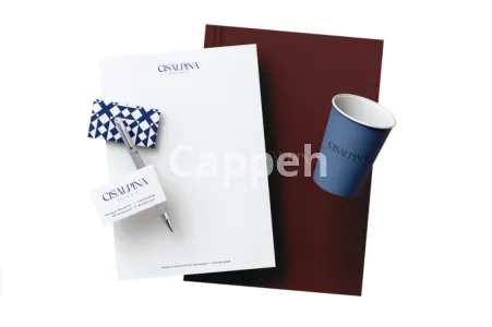 I will create modern brand identity and business logo design