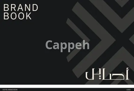 I will design a arabic logo and arabic branding