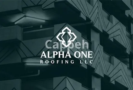 I will design your business logo and brand identity guidelines