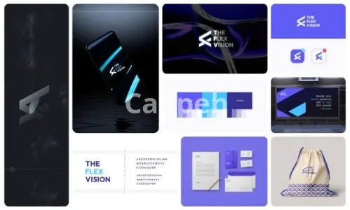I will design your business logo and brand identity guidelines