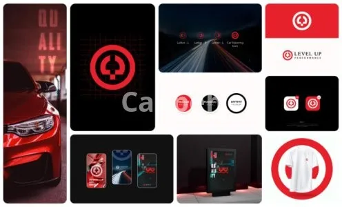 I will design your business logo and brand identity guidelines