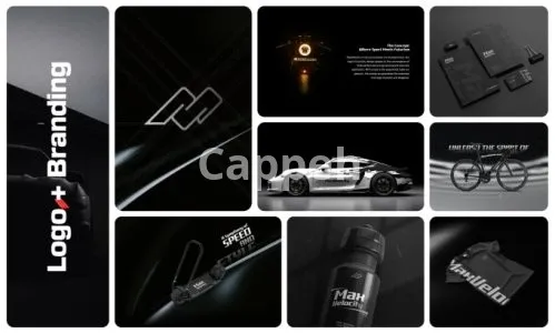 I will design your business logo and brand identity guidelines