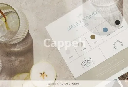 I will design a modern feminine brand guideline and logo