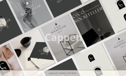 I will design a modern feminine brand guideline and logo