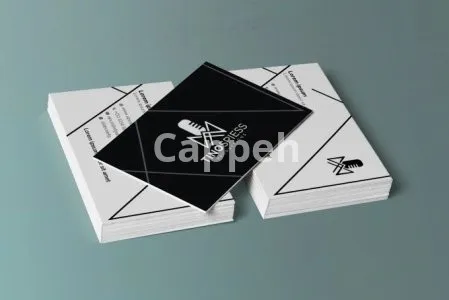 I will design a professional business card and stationery