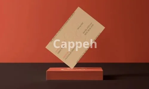 I will design an outstanding business card