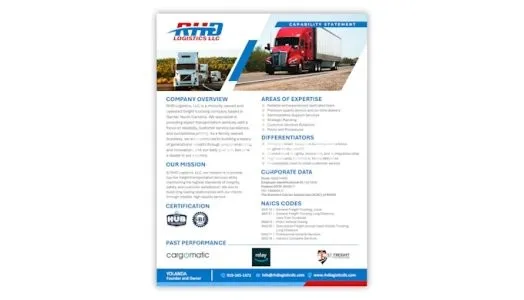 I will design a professional and creative capability statement