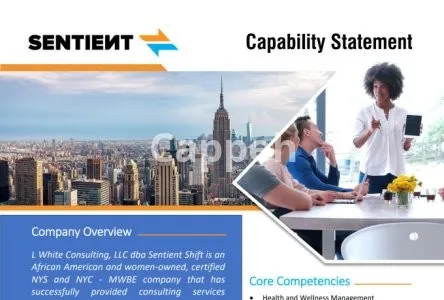 I will design a professional and creative capability statement