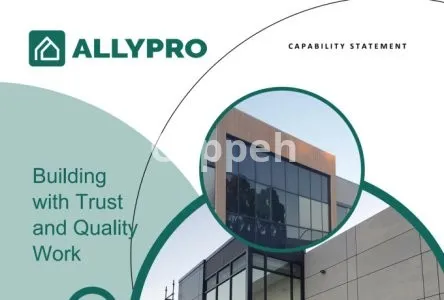 I will design a professional and creative capability statement