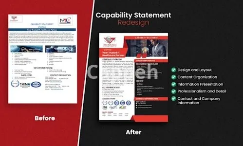 I will design your federal government capability statement in 12hrs