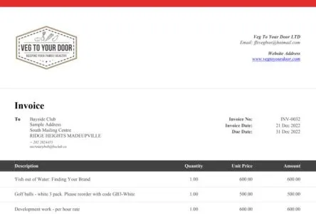 I will design xero custom invoice templates