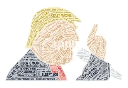 I will do excellent word clouds art or typography design