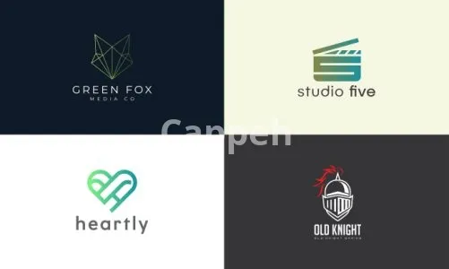 I will do unique modern minimalist business logo design