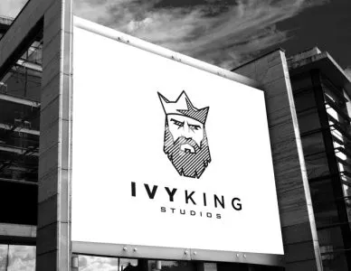 I will create a professional minimalist logo design