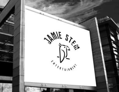 I will create a professional minimalist logo design