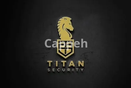 I will design an outstanding professional logo