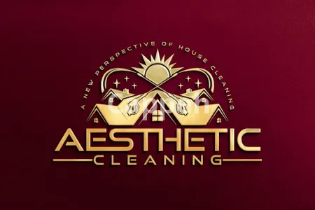 I will design striking logo concepts to elevate your brand